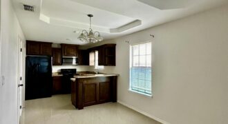 207 S Ridge Ln, San Juan, TX 78589, USA
