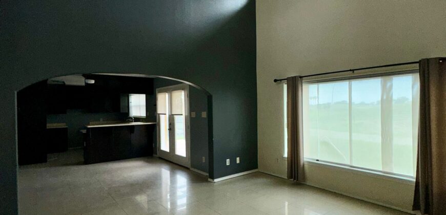 4218 VIDA GRANDE WESLACO TEXAS 78596