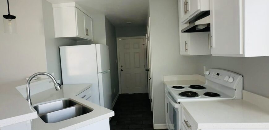 2219 Northridge Ave Harlingen, TX 78550