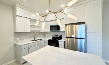 3779 Mezcal Dr, Pharr, TX 78577