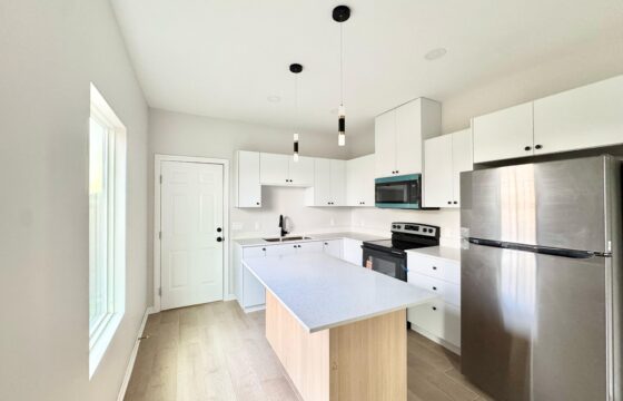 1208 N Aryana Avenue, Edinburg, TX 78541