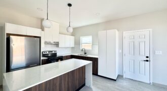 2009 Selena, Mission, Texas 78572