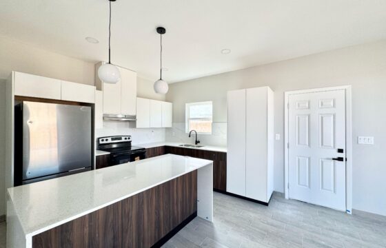 2009 Selena, Mission, Texas 78572