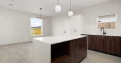 2009 Selena, Mission, Texas 78572