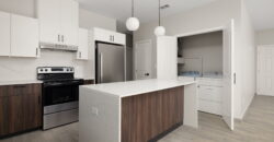 2009 Selena, Mission, Texas 78572