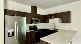 401 Downing Ave, Edinburg, TX 78539