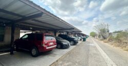 800 W Bronze Pharr, TX 78577