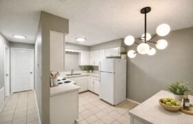 506 N McColl Rd, Edinburg Tx 78541