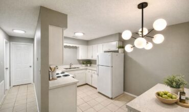 506 N McColl Rd, Edinburg Tx 78541