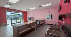 4518 S Raul Longoria Rd, Unit C, Edinburg, TX 78542