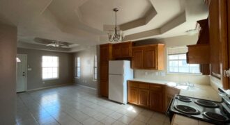 805 W Bronze Dr, Pharr, TX 78577, USA