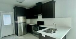 103 E SGT Leonel Trevino Rd, San Juan TX